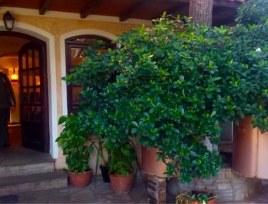 Eν ψυχρώ δολοφονία στην Παλλήνη: Πυροβόλησαν 57χρονο συνταξιούχο των ΕΚΑΜ έξω από ταβέρνα